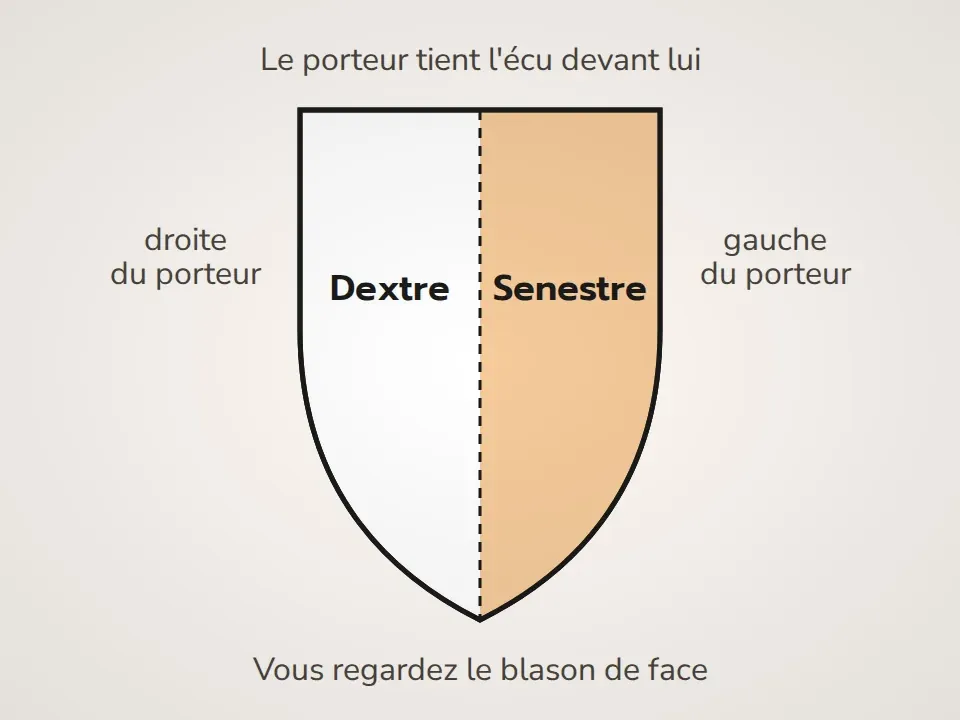Senestre et dextre sur un blason vu de face : la gauche du porteur est à votre droite